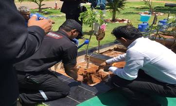 Tree plantation at krishnapatnam